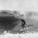 Wade Carmichael - Factory Visits